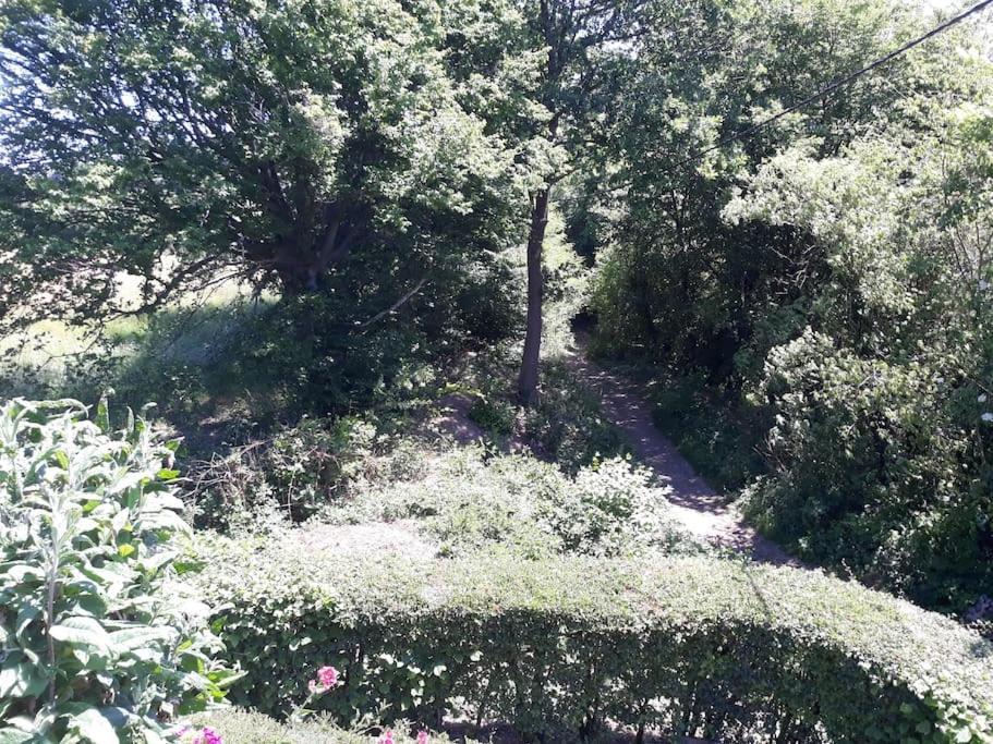 Studio Au Jardin Fleuri Verviers Bagian luar foto